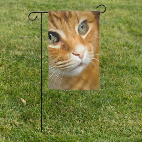 Adorable Ginger Tabby Cat Posing Pet Portrait Garden Flag