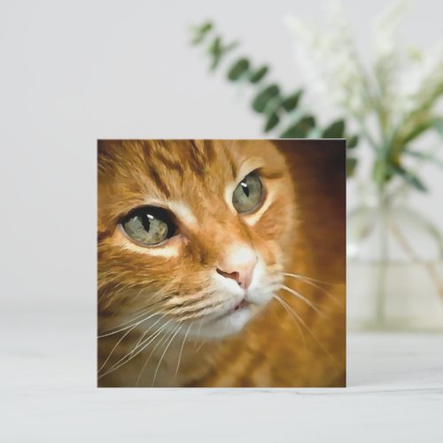 Adorable Ginger Tabby Cat Posing Pet Portrait Holiday Card