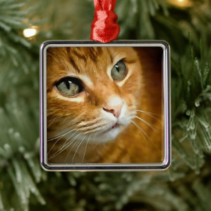 Adorable Ginger Tabby Cat Posing Pet Portrait Metal Ornament