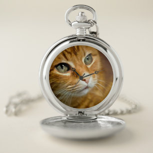 Adorable Ginger Tabby Cat Posing Pet Portrait Pocket Watch