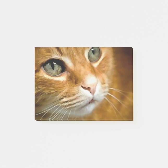 Adorable Ginger Tabby Cat Posing Pet Portrait Post-it Notes (Front)