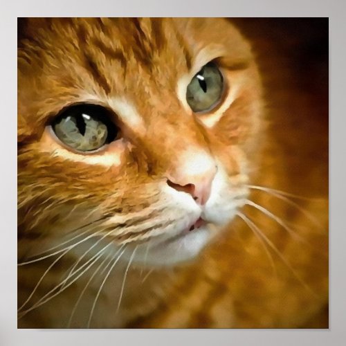Adorable Ginger Tabby Cat Posing Pet Portrait Poster
