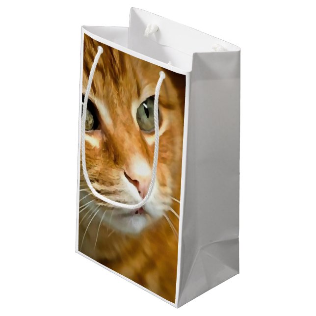 Adorable Ginger Tabby Cat Posing Pet Portrait Small Gift Bag (Back Angled)