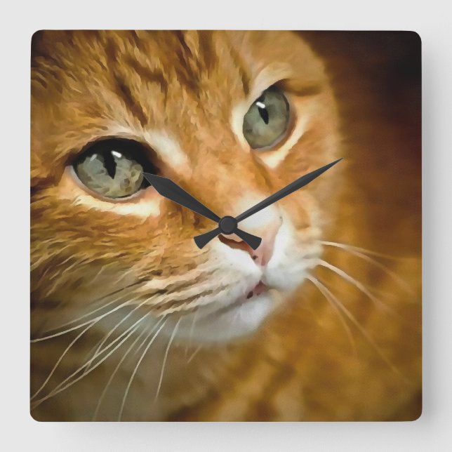 Adorable Ginger Tabby Cat Posing Pet Portrait Square Wall Clock (Front)