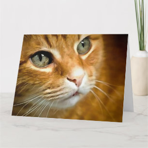 Adorable Ginger Tabby Cat Posing Pet Portrait Thank You Card