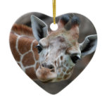 Adorable Giraffe Ornament
