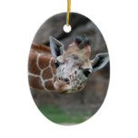 Adorable Giraffe Ornament