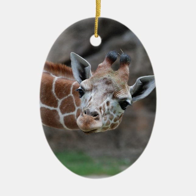 Adorable Giraffe Ornament (Front)