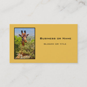 Adorable Giraffe Poking His Head Above The Trees Business Card