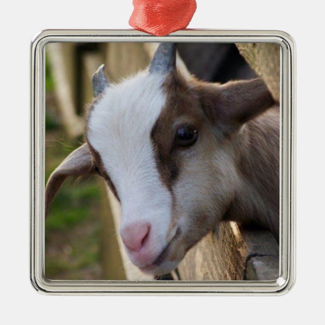 *ADORABLE GOAT FOR CHRISTMAS* METAL ORNAMENT (Front)