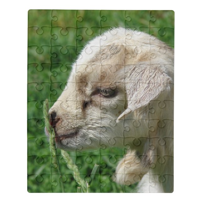 Adorable Goat Kid Jigsaw Puzzle (Puzzle Vertical)