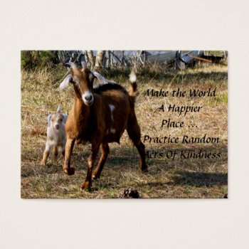Adorable Goats Random Acts Of Kindness Cards by CatsEyeViewGifts at Zazzle