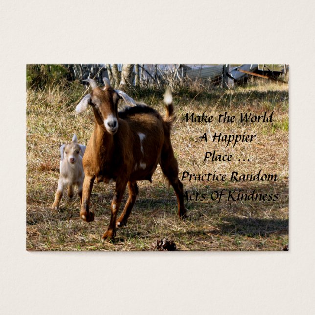 Adorable Goats Random Acts of Kindness Cards (Front)