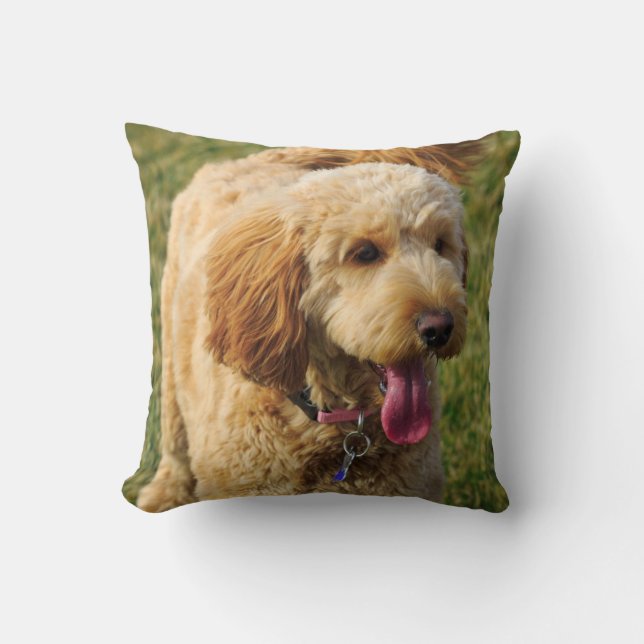 Adorable Golden Doodle Dog Throw Pillow (Front)