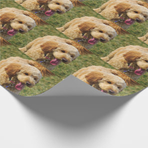 Adorable Golden Doodle Dog Wrapping Paper