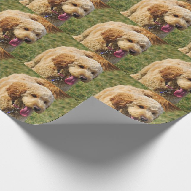 Adorable Golden Doodle Dog Wrapping Paper (Corner)