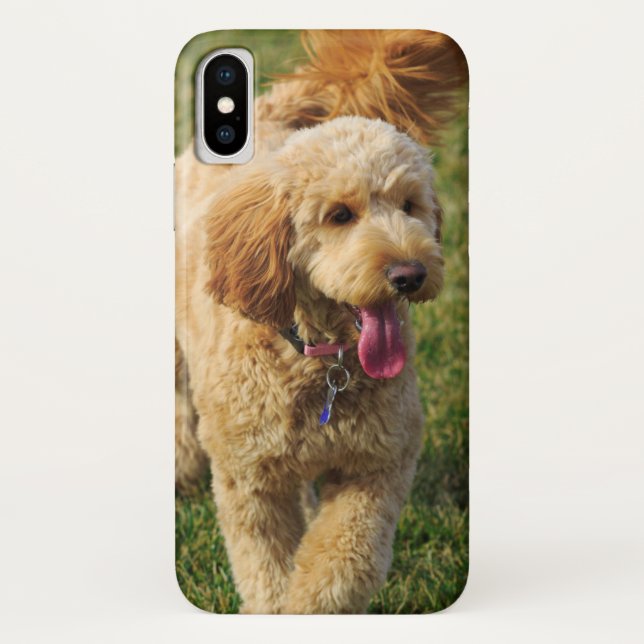 Adorable Goldendoodle Dog Case-Mate iPhone Case (Back)