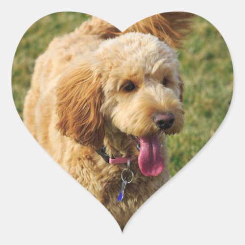 Adorable Goldendoodle Dog Heart Sticker