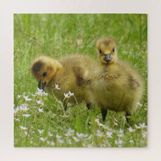 Adorable Goose Babies -Goslings Jigsaw Puzzle (Vertical)