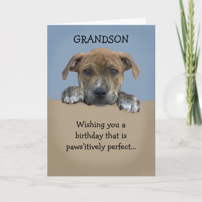 Adorable Grandson Birthday Card (Front)