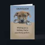 Adorable Grandson Birthday Card<br><div class="desc">Adorable grandson birthday card that is customizable with your personalized message.</div>