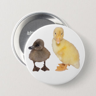 Adorable Gray and Yellow Duckling Photograph Pinback Button