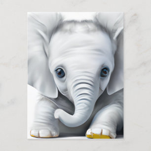 Adorable Gray Baby Elephant Postcard