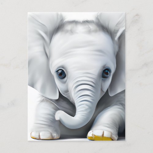 Adorable Gray Baby Elephant  Postcard