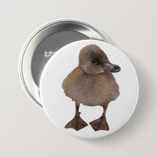 Adorable Gray Duckling Close-Up Photograph Pinback Button (Front & Back)