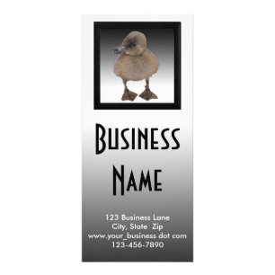 Adorable Gray Duckling Photography Business Rack Card
