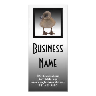 Adorable Gray Duckling Photography Business Rack Card
