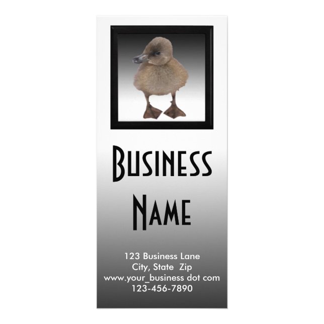 Adorable Gray Duckling Photography Business Rack Card (Front)