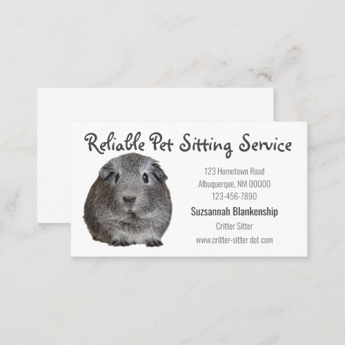 Adorable Gray Guinea Pig Photograph  Business Card