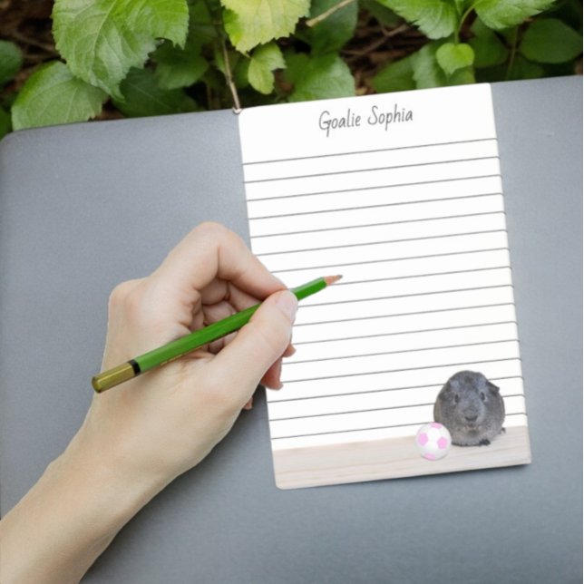 Adorable Gray Guinea Pig Pink Soccer Ball Lined Post-it Notes (Fun 4" x 6" lined note pad)