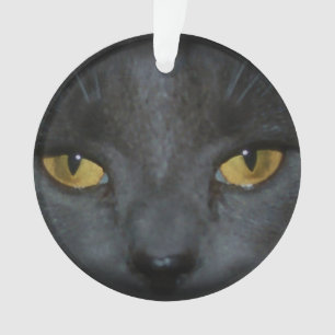 Adorable Gray Kitty Cat Personalized Ornament