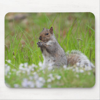 Adorable Gray Squirrel Mouse Pad