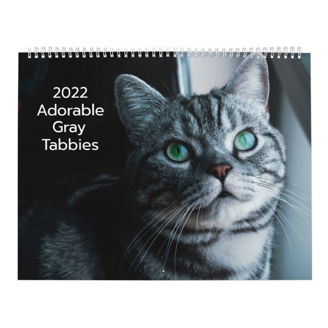 Adorable Gray Tabbies 2022 Calendar (Cover)