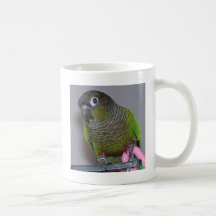 Adorable Greencheek Conure Coffee Mug