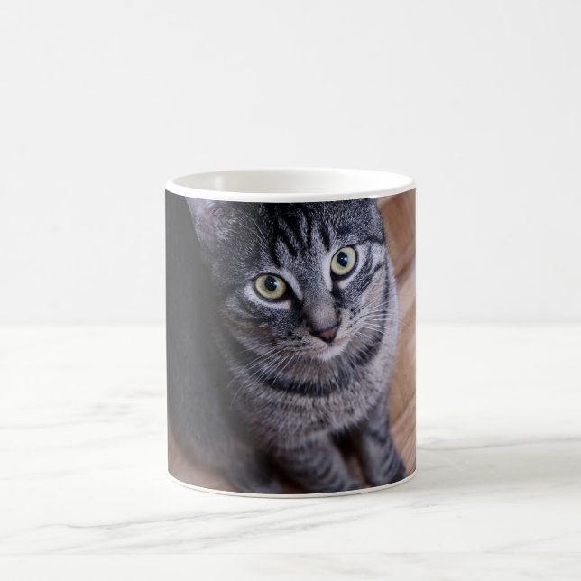 Adorable Grey Cat Coffee Mug (Center)