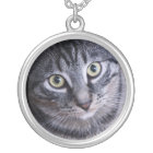 Adorable Grey Cat Face