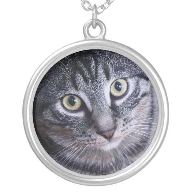 Adorable Grey Cat Face Silver Plated Necklace (Front)