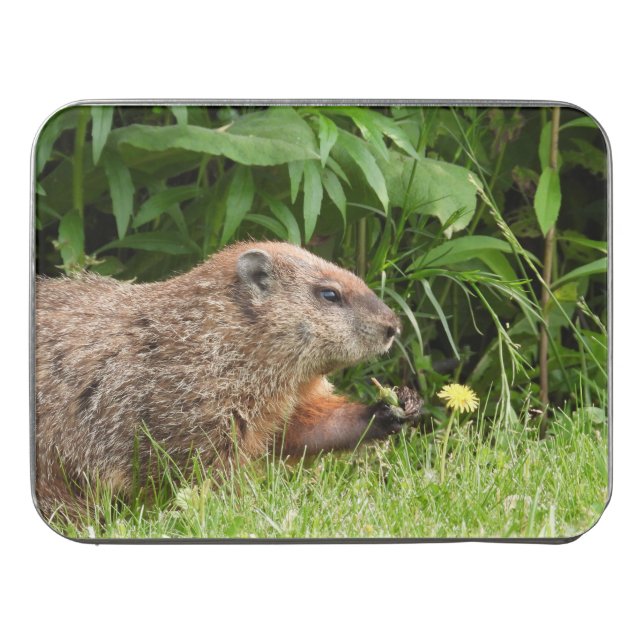 Adorable Groundhog Picking Flowers Jigsaw Puzzle (Case Horizontal)