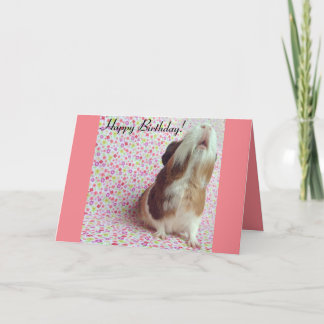 Adorable Guinea Pig Birthday Card
