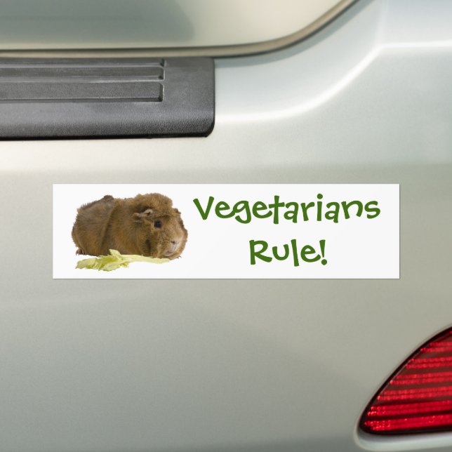 Adorable Guinea Pig Eating Celery Photography Bumper Sticker (On Car)