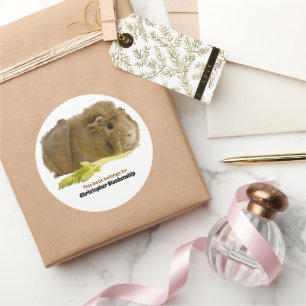 Adorable Guinea Pig Eating Celery Photography Classic Round Sticker