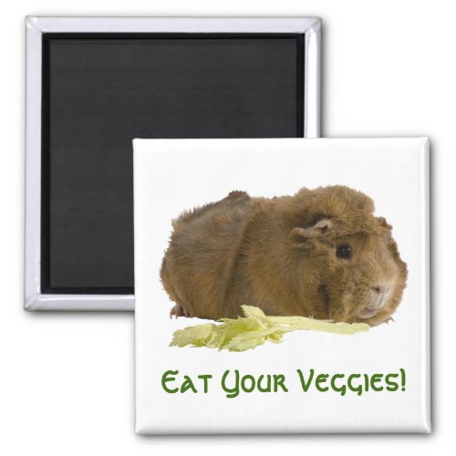 Adorable Guinea Pig Eating Celery Photography Magnet