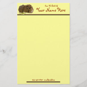 Adorable Guinea Pig Eating Celery Photography Stationery