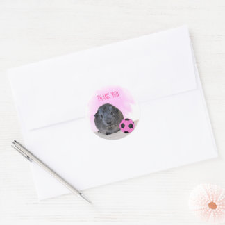 Adorable Guinea Pig Pink Soccer Ball Thank You Classic Round Sticker