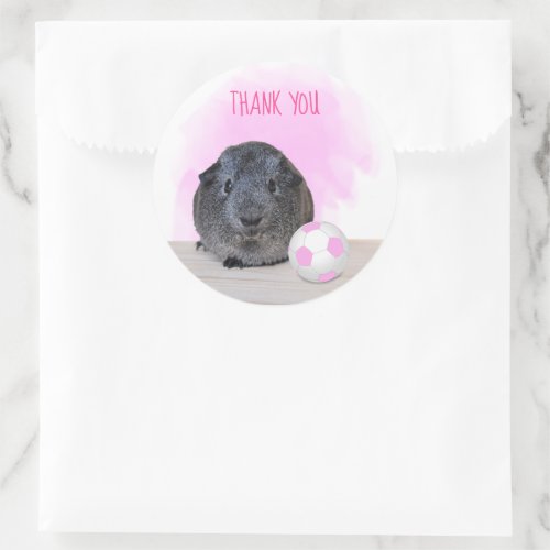 Adorable Guinea Pig Pink Soccer Ball Thank You Classic Round Sticker