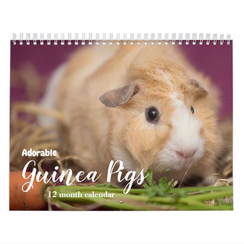 Adorable Guinea Pigs 2024 Calendar